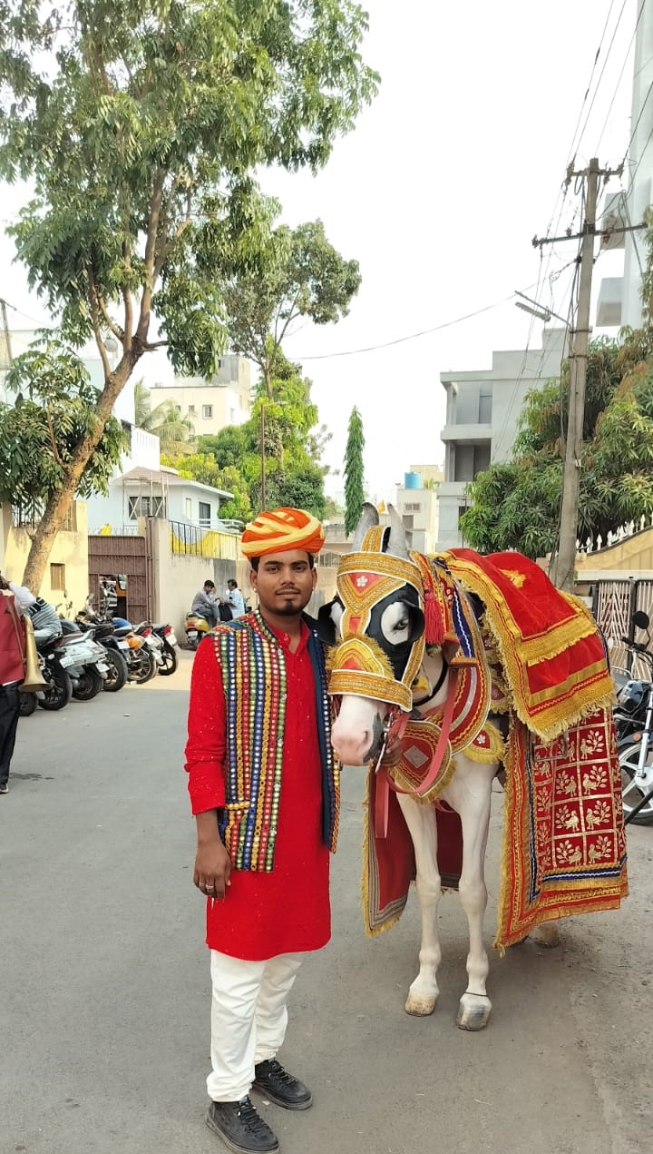 Ghodi